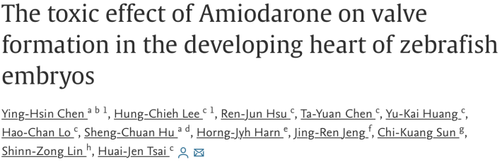 The toxic effect of Amiodarone on valve formation in the developing heart of zebrafish embryos