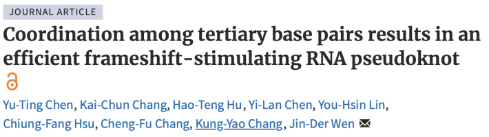 Coordination among tertiary base pairs results in an efficient frameshift-stimulating RNA pseudoknot