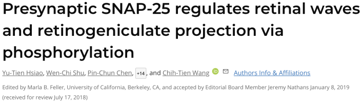 Presynaptic SNAP-25 regulates retinal waves and retinogeniculate projection via phosphorylation