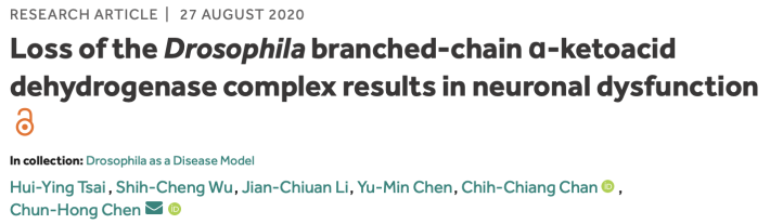 Loss of the Drosophila branched-chain α-ketoacid dehydrogenase complex results in neuronal dysfunction