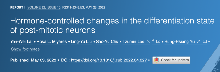 Hormone-controlled changes in the differentiation state of post-mitotic neurons